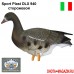 Двигающиеся чучела белолобого гуся Sport Plast DLX-940