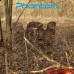 Зеркальная засидка для охоты на гуся PHANTOM Deer