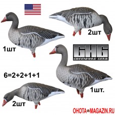 Чучела для охоты на белолобого гуся GREENHEAD Pro-Grade Full Body Specklebellies