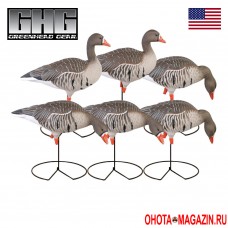 Флоковые чучела белолобого гуся GREENHEAD Pro-Grade FFD Full Body Specklebellies