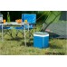 Контейнер изотермический CG Icetime Plus 29L